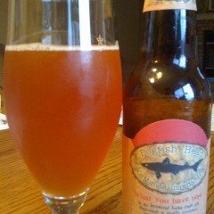 45.  Dogfish Head – 90 Minute Imperial IPA
