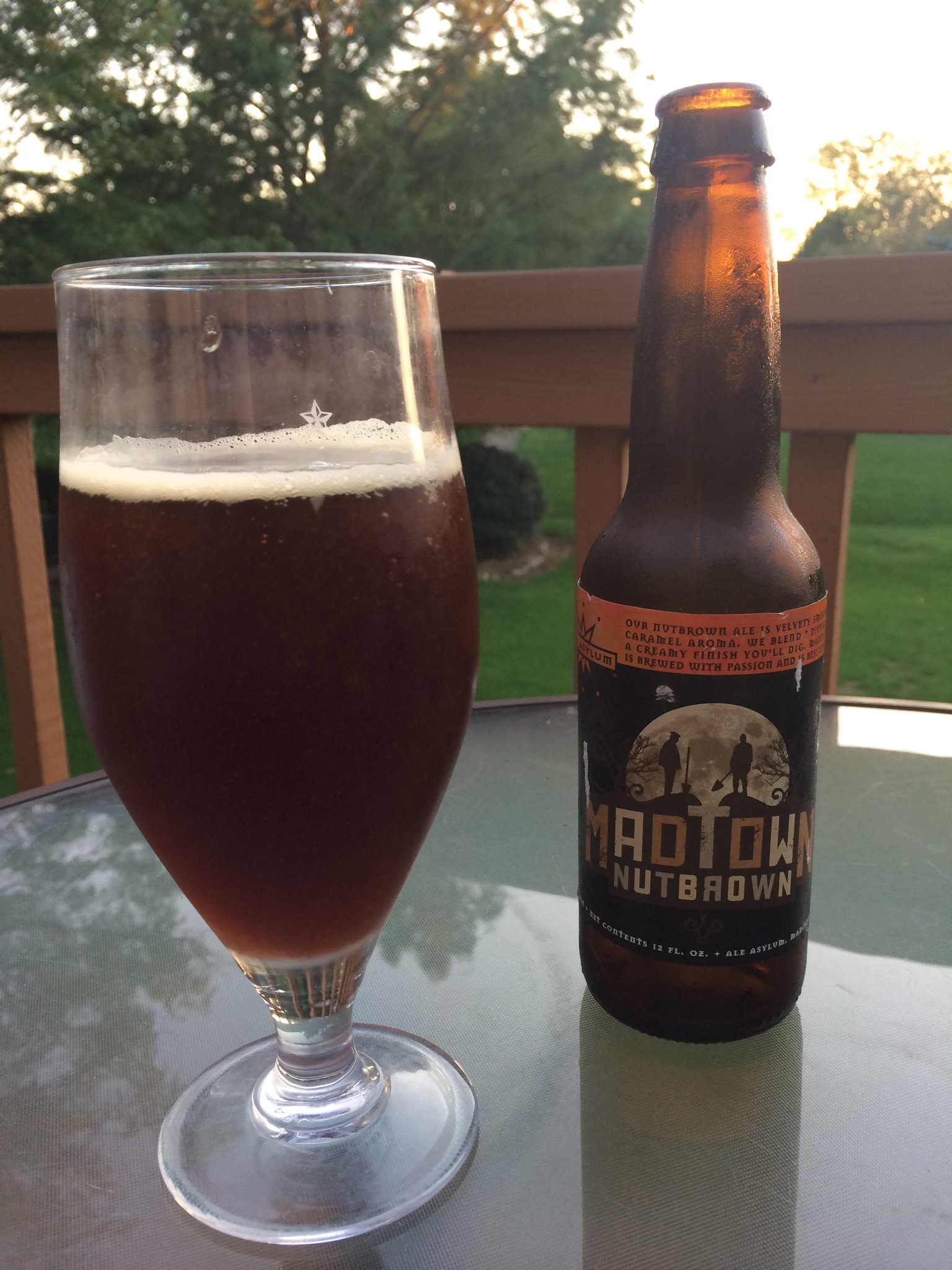 726. Ale Asylum Madtown Nutbrown 1000 Beers