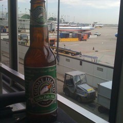 27. Goose Island – IPA India Pale Ale