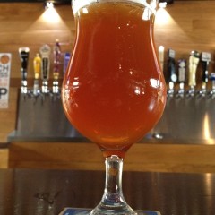 410. 2nd Shift Brewing – El Gato Grande AIPA