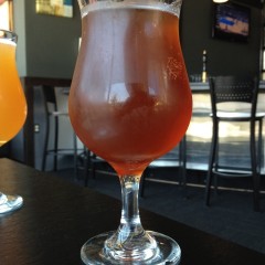 428. Destihl Restaurant & Brew Works – Vertex IPA